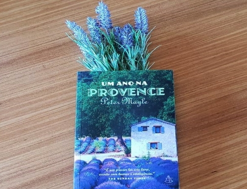 Um ano na Provence: a escrita do cotidiano