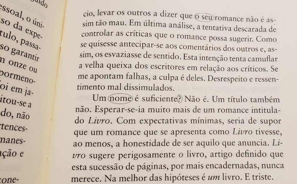 Trecho do romance Livro